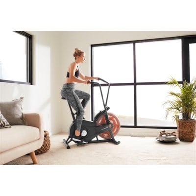 Dikey Bisiklet Schwinn Airdyne Ad2i