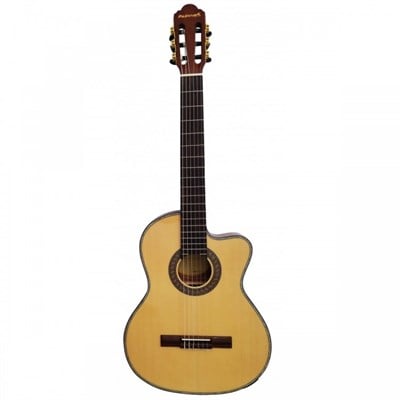 El Yapımı Profesyonel Klasik Gitar - Masterwork