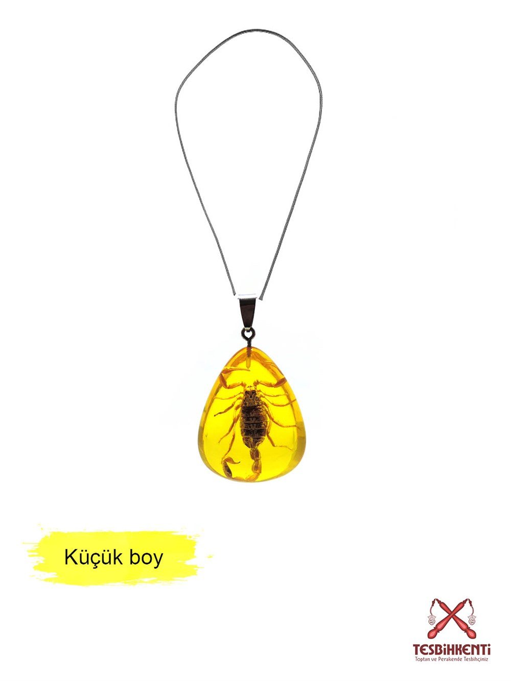 Küçük Boy Akrep Fosilli Kolye