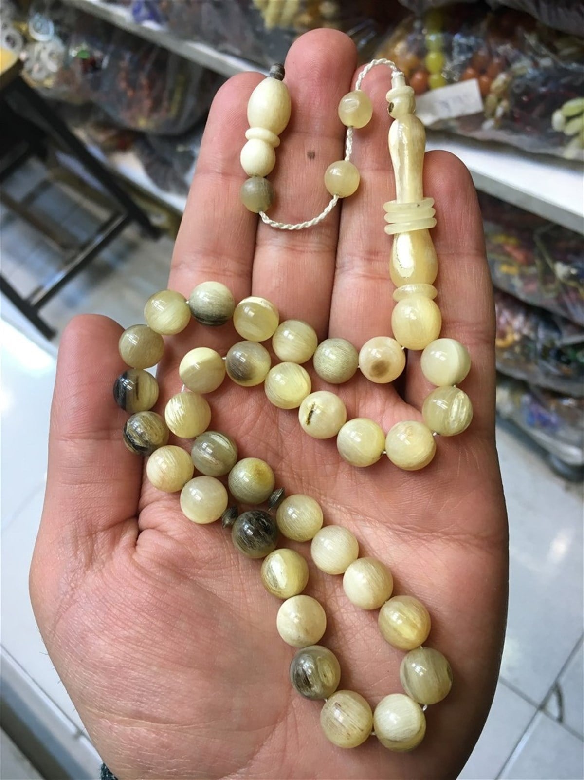 Orta Boy Küre Kesim Koç Boynuzu Mısır İşçiliği
