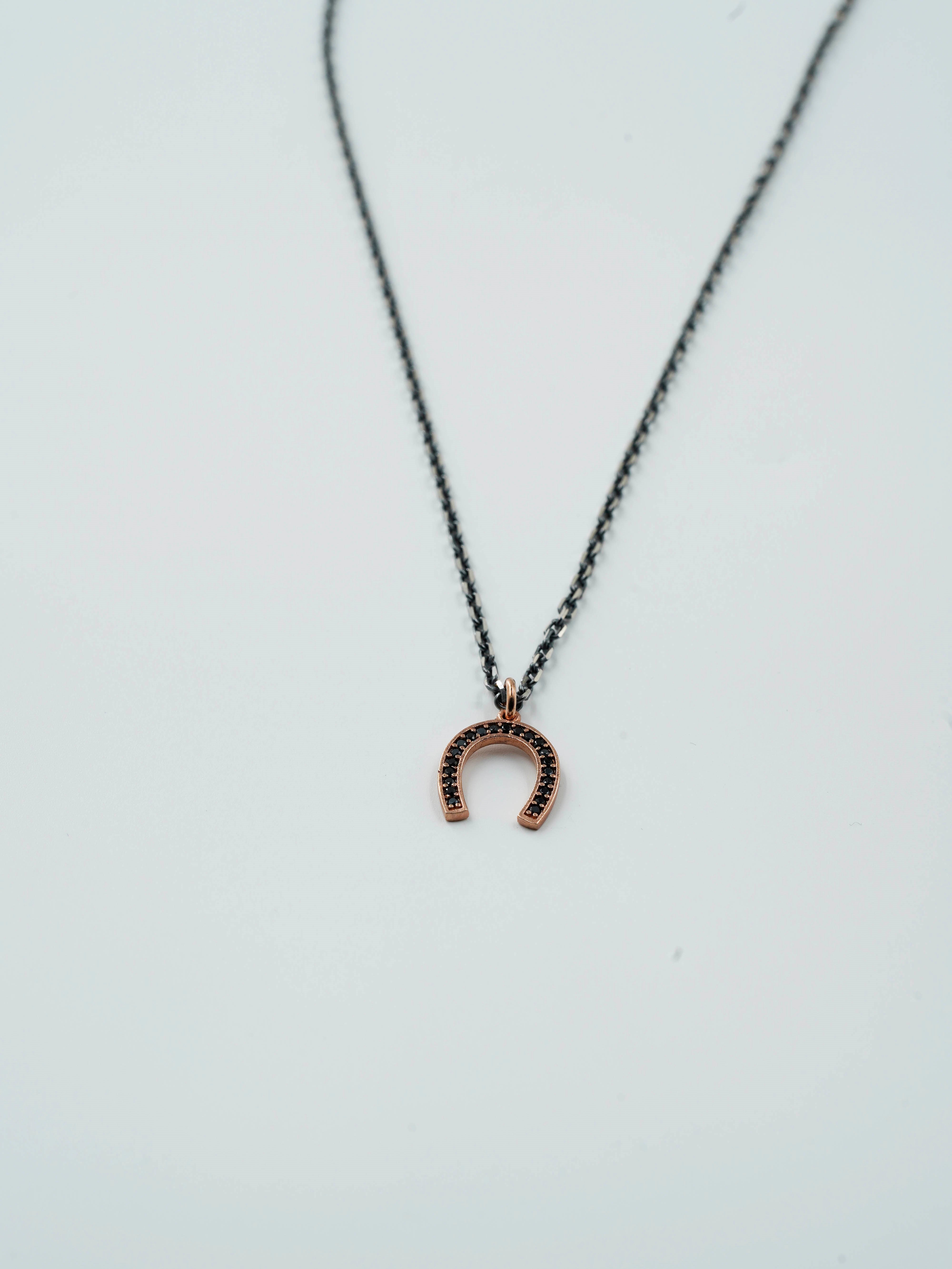 Luxury Horseshoe Necklace