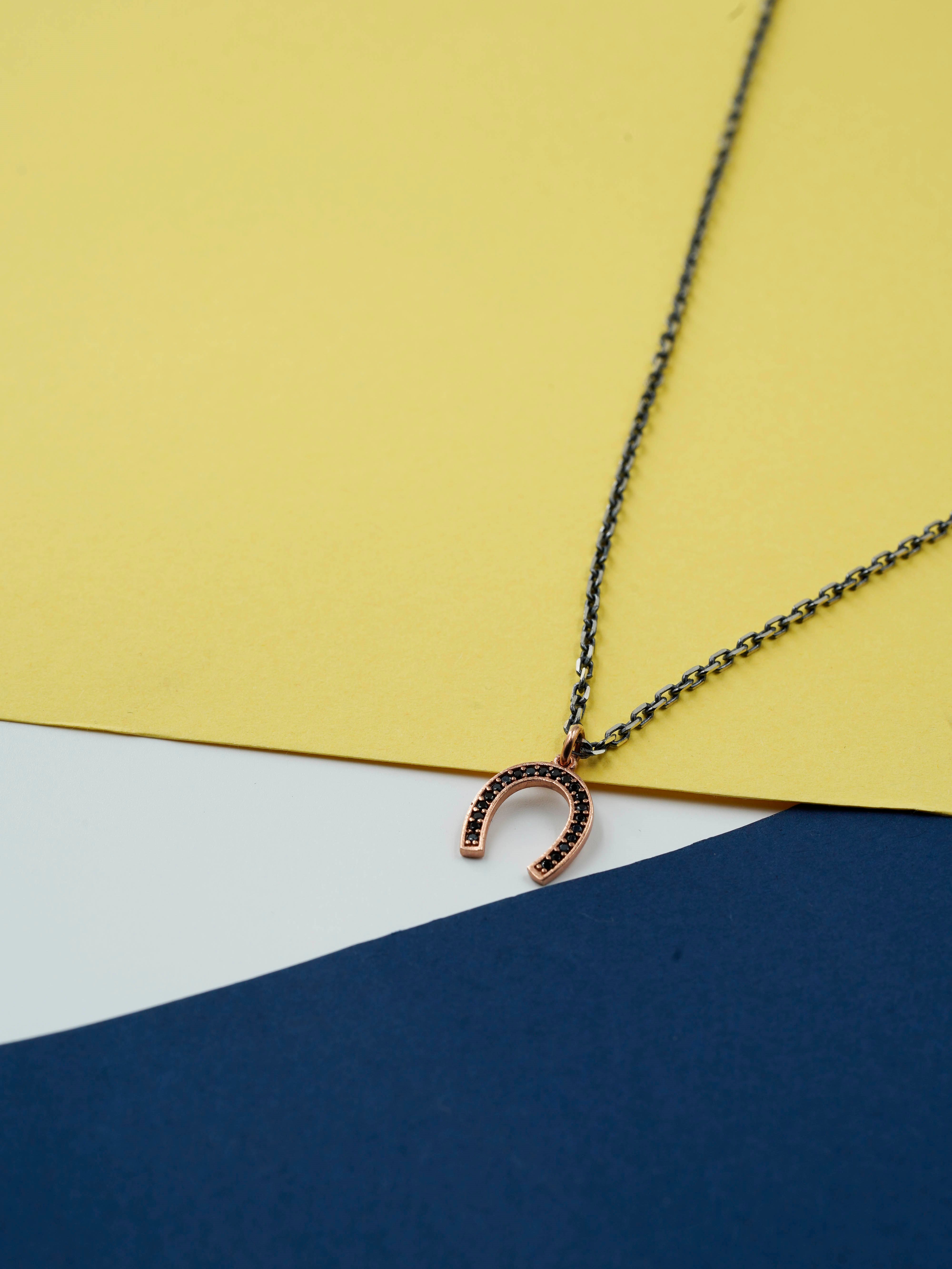 Luxury Horseshoe Necklace