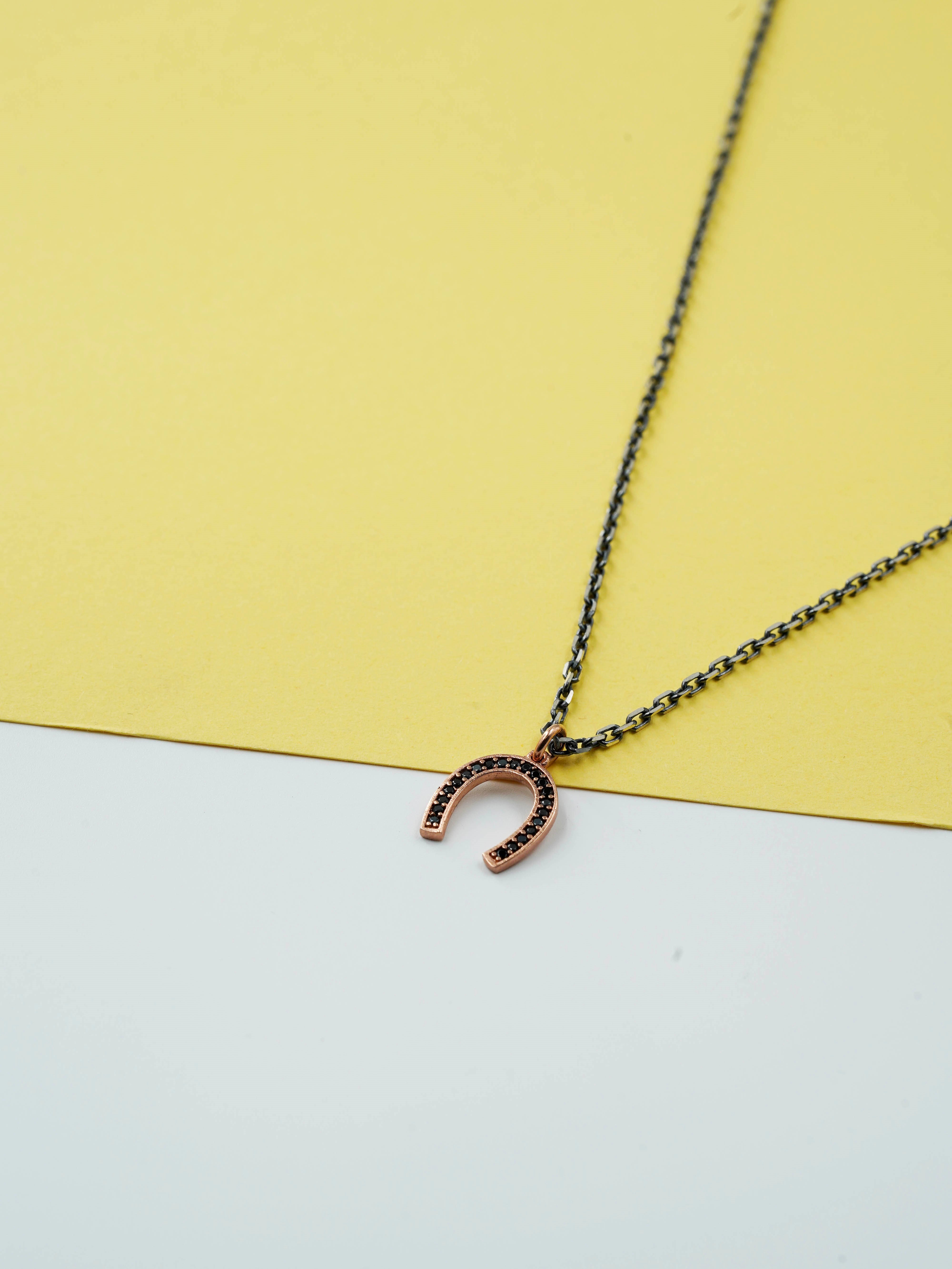 Luxury Horseshoe Necklace