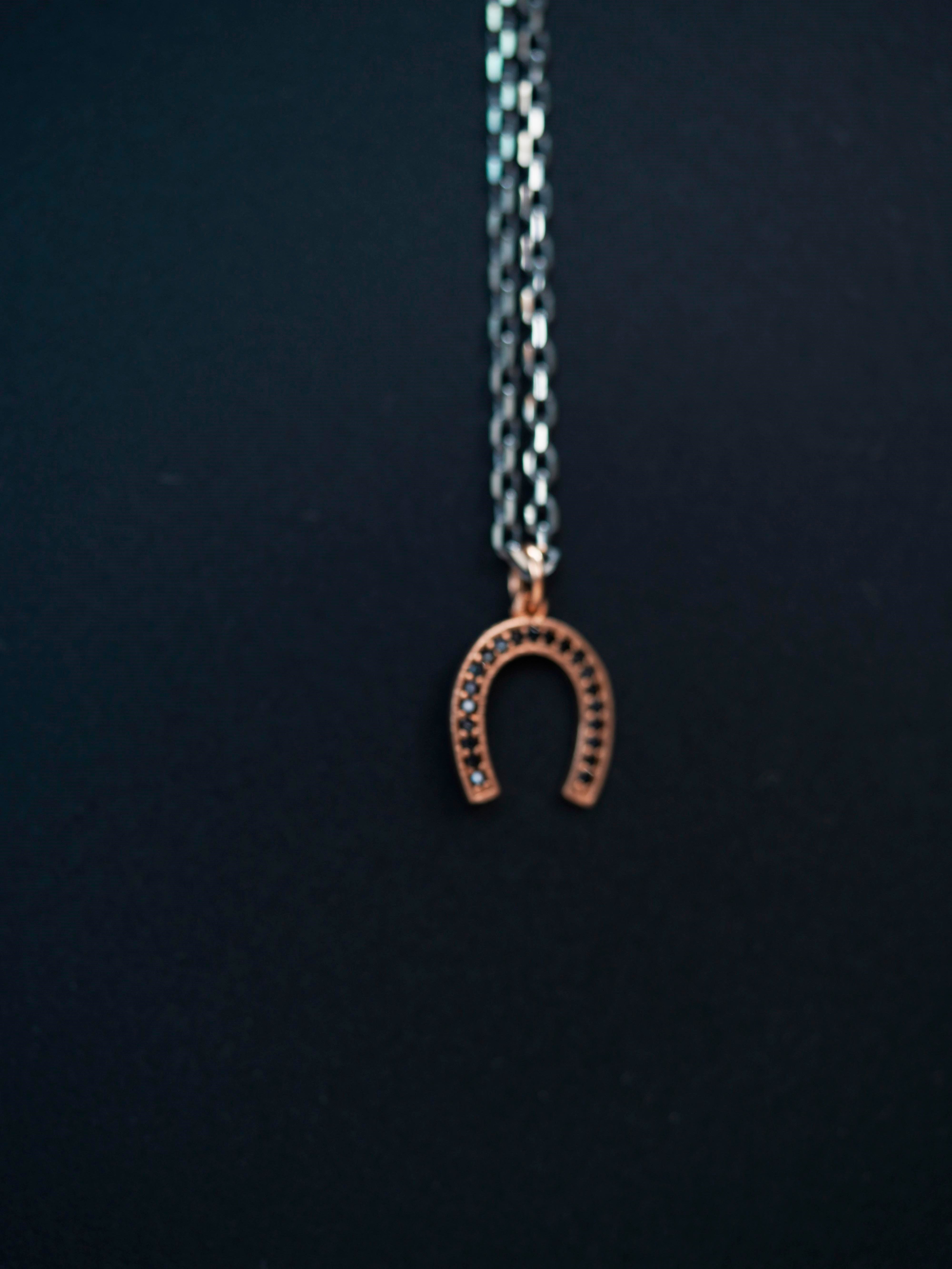 Luxury Horseshoe Necklace