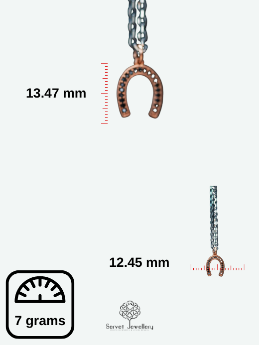 Luxury Horseshoe Necklace