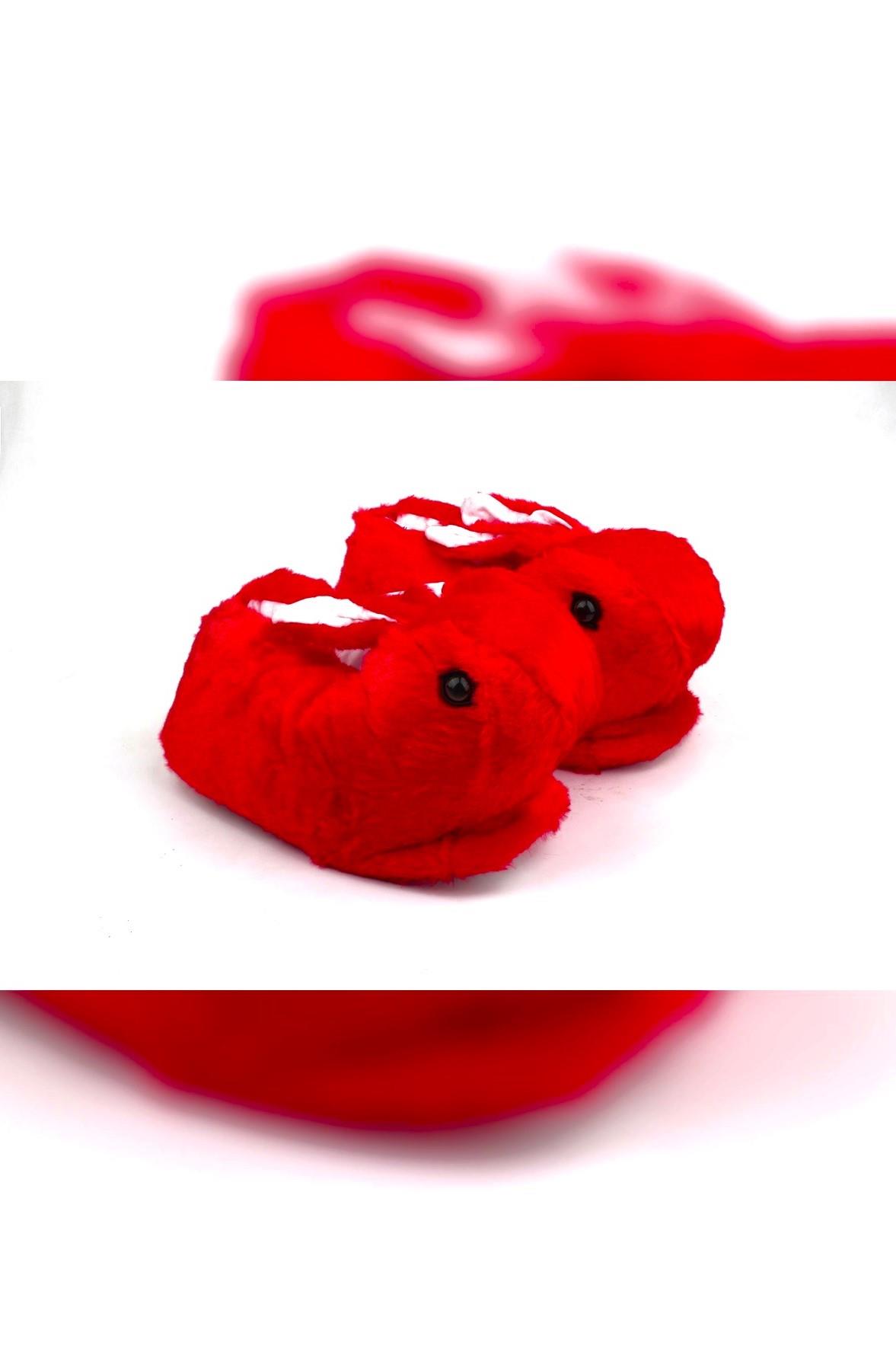HAYVANLI ZENNE PANDUF