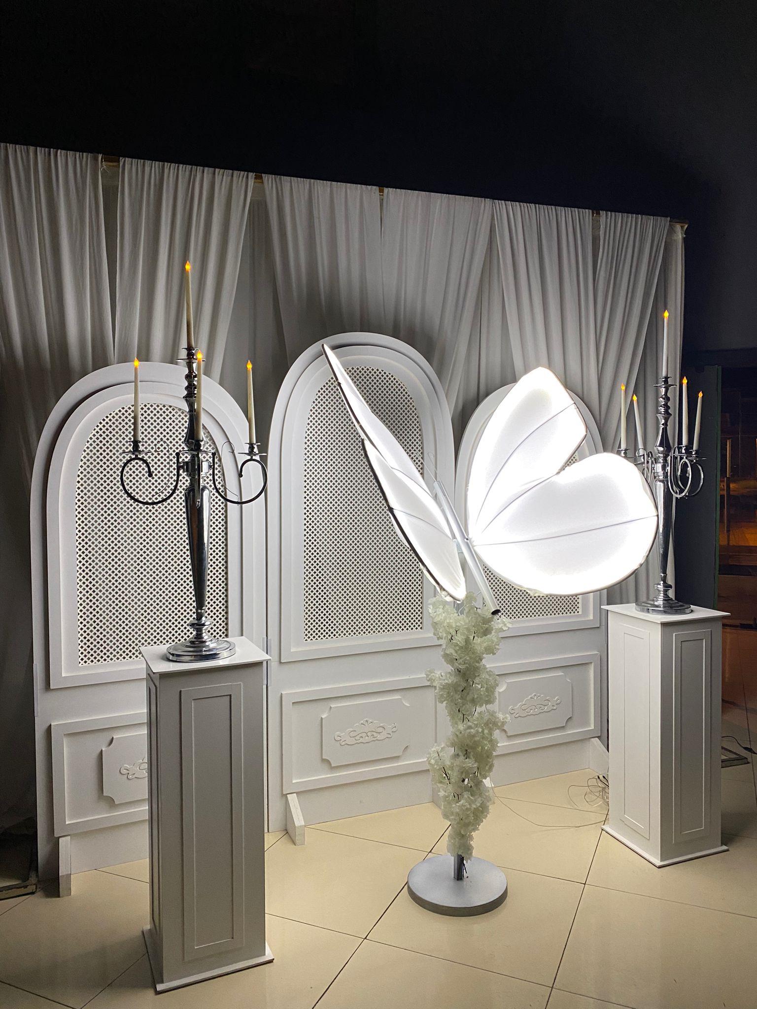 kelebek beyaz