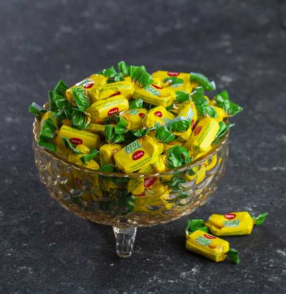 Tofy Limon