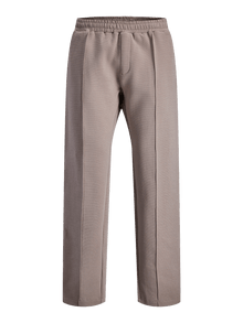 Jack & Jones Jpstkane Gen Pants Styd Ss25