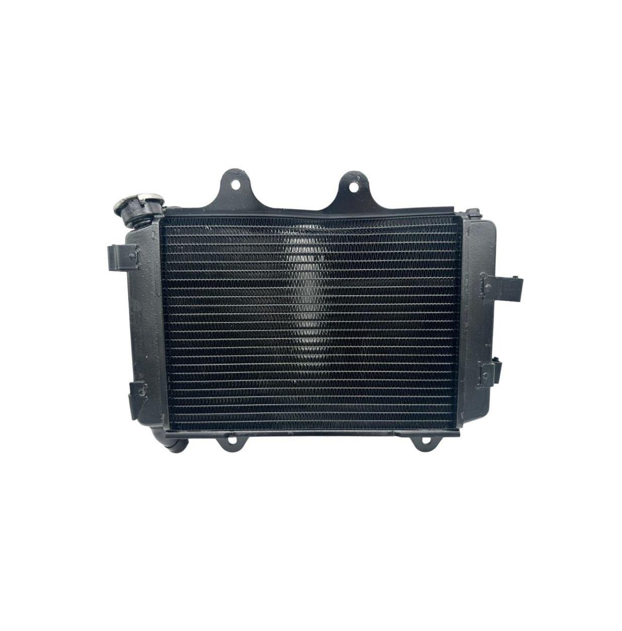 Bajaj Dominar 400 Radyatör Orijinal