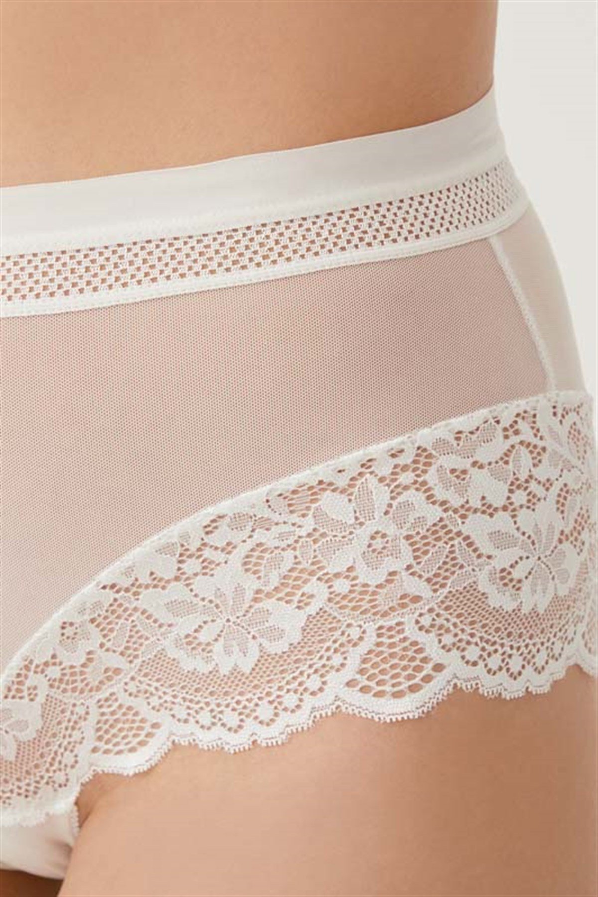 Dantel Detaylı Transparan Büyük Beden Bikini Külot