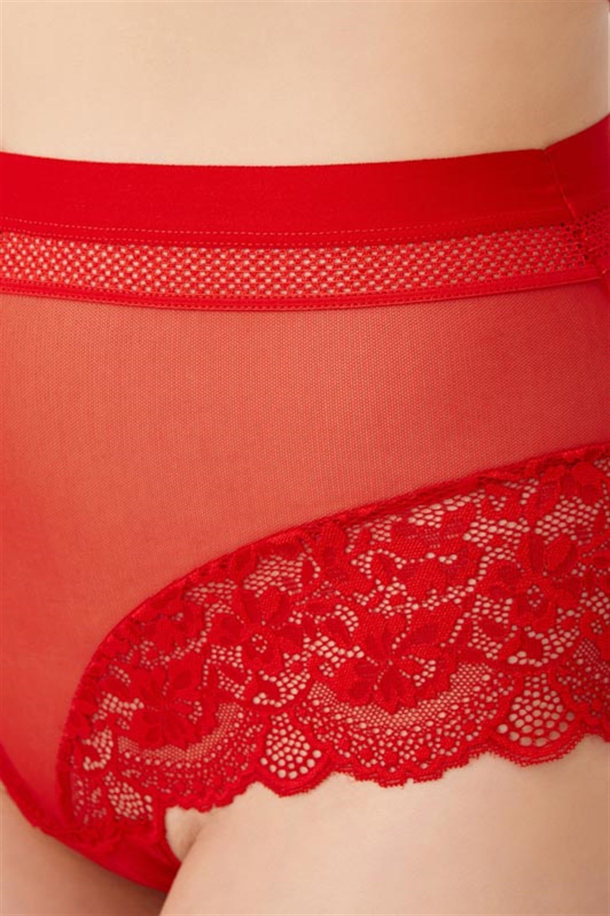 Dantel Detaylı Transparan Büyük Beden Bikini Külot