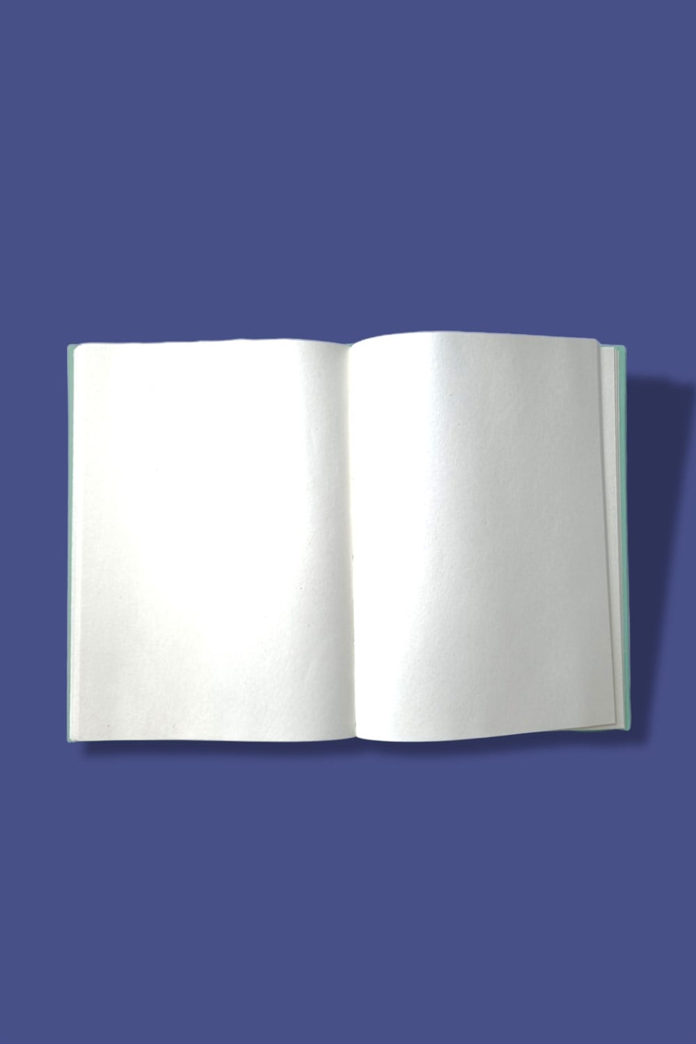 Daisy Lastikli Defter