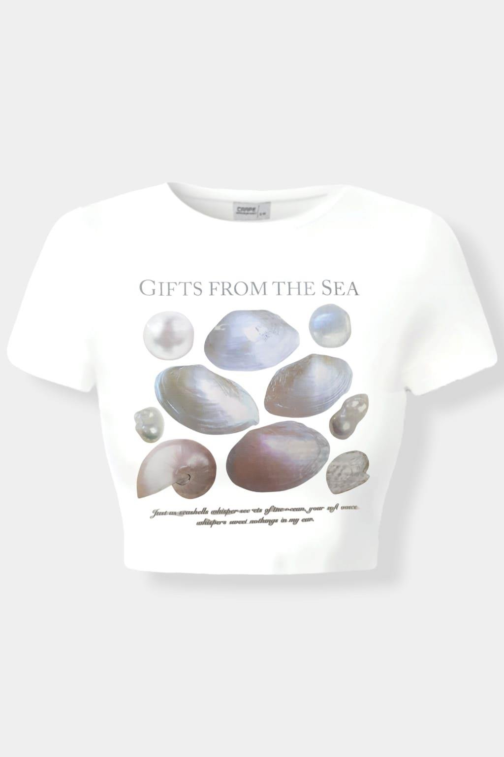 Gift Sea Shell Crop