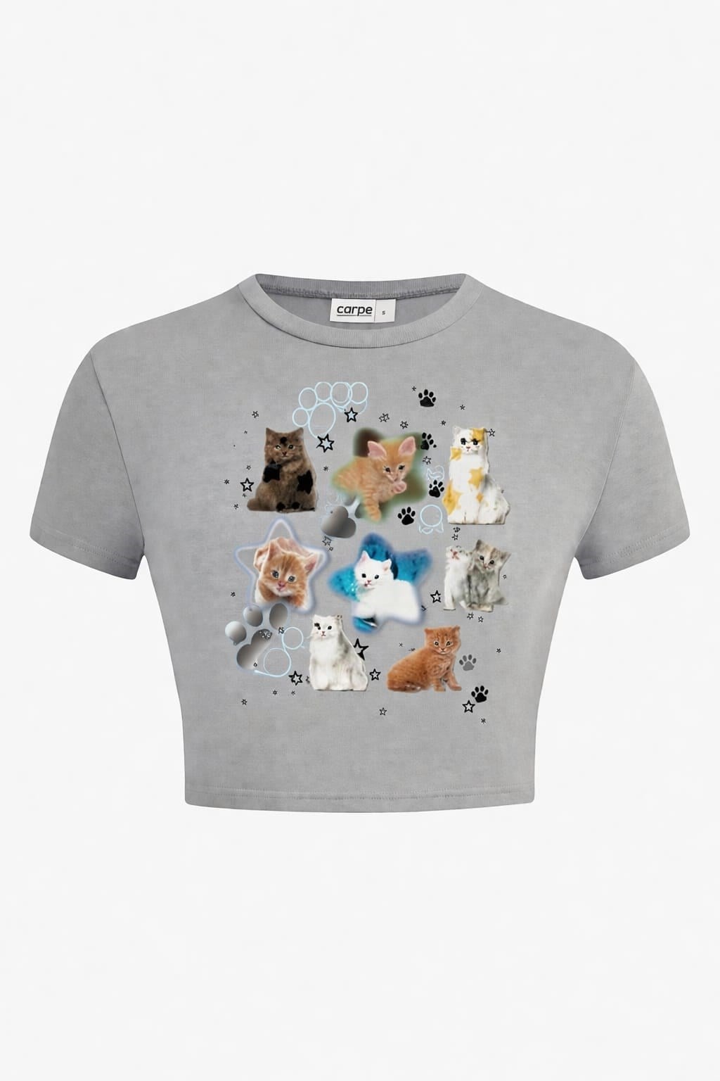 Grey Paw Star Crop