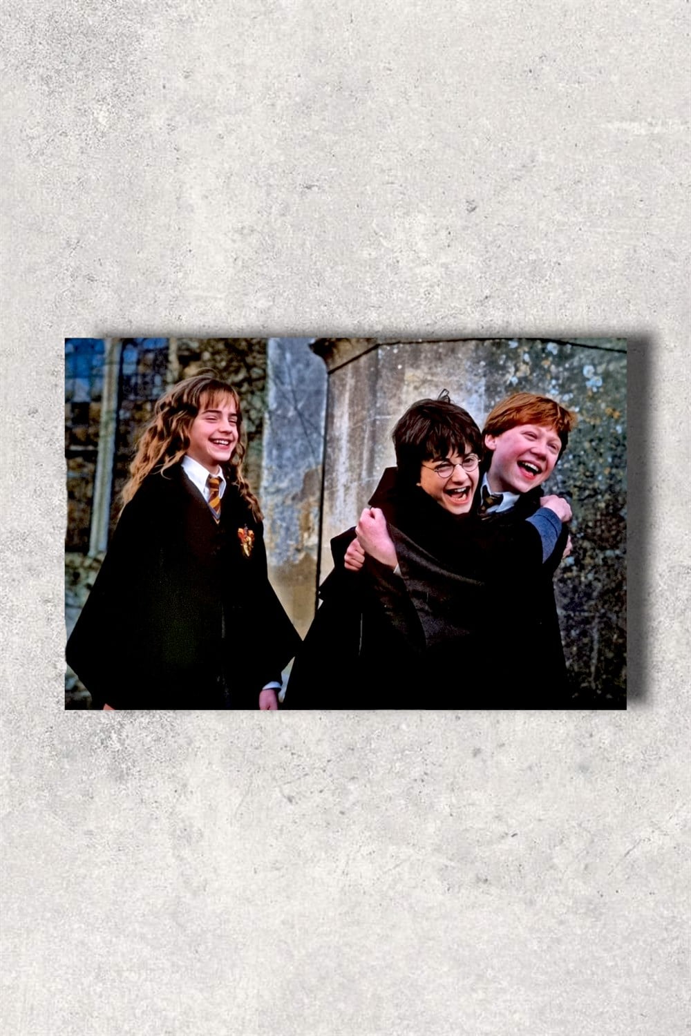 Hp Karakterler Ahşap Poster