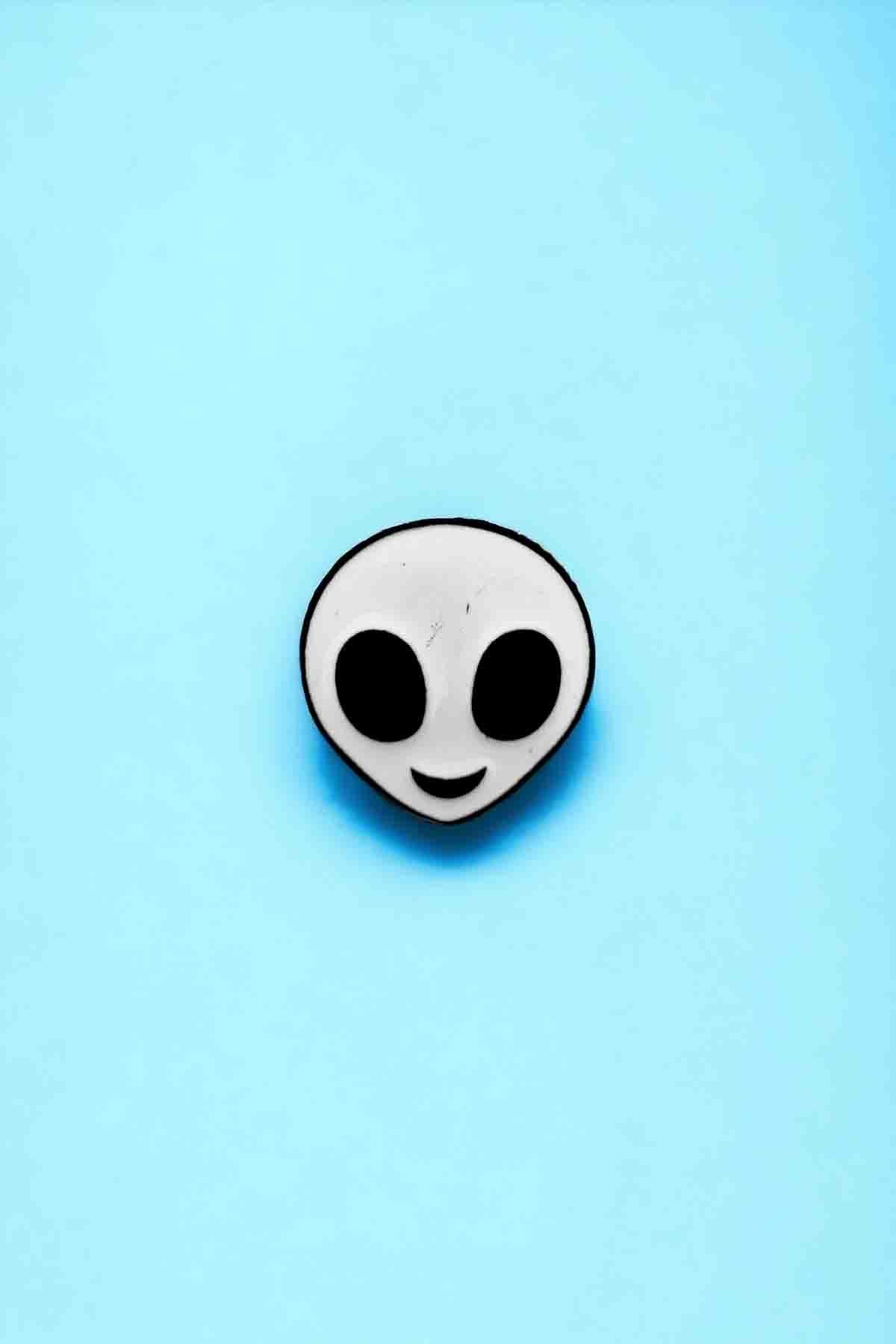 Minik Rozet Çeşitleri