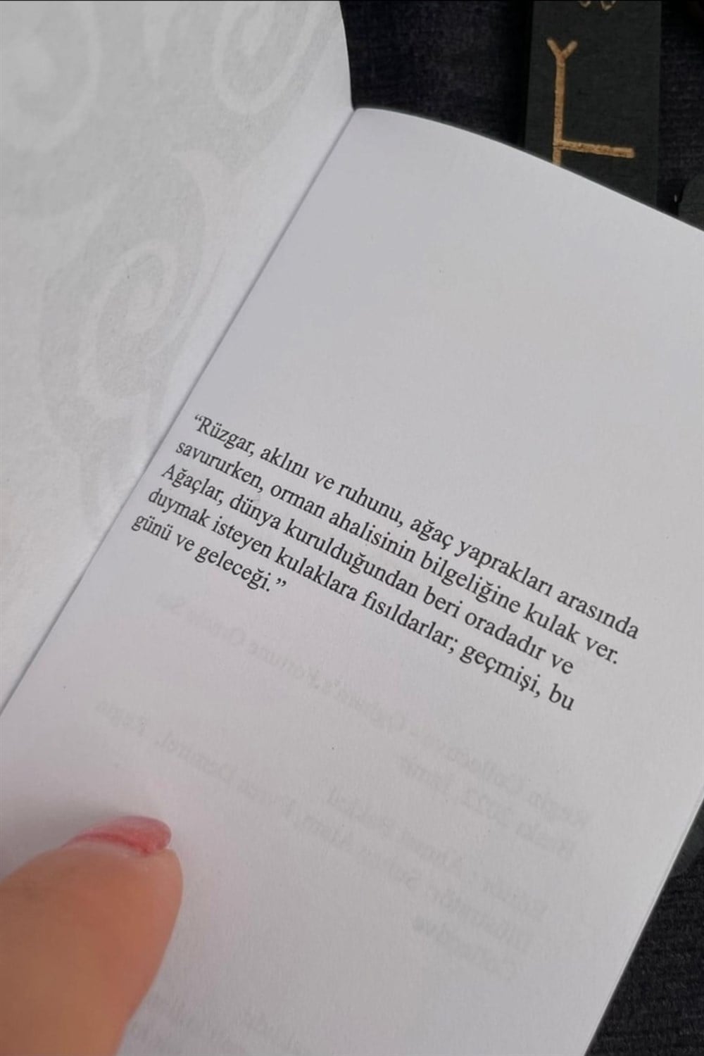 Oghams Fortune Ahşap Kutulu Rune Seti