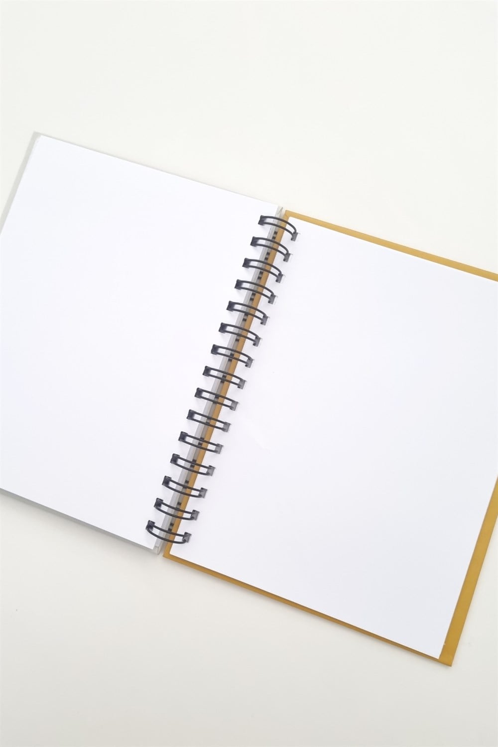 Telli Flamingo Haftalık Planlayıcı Defter