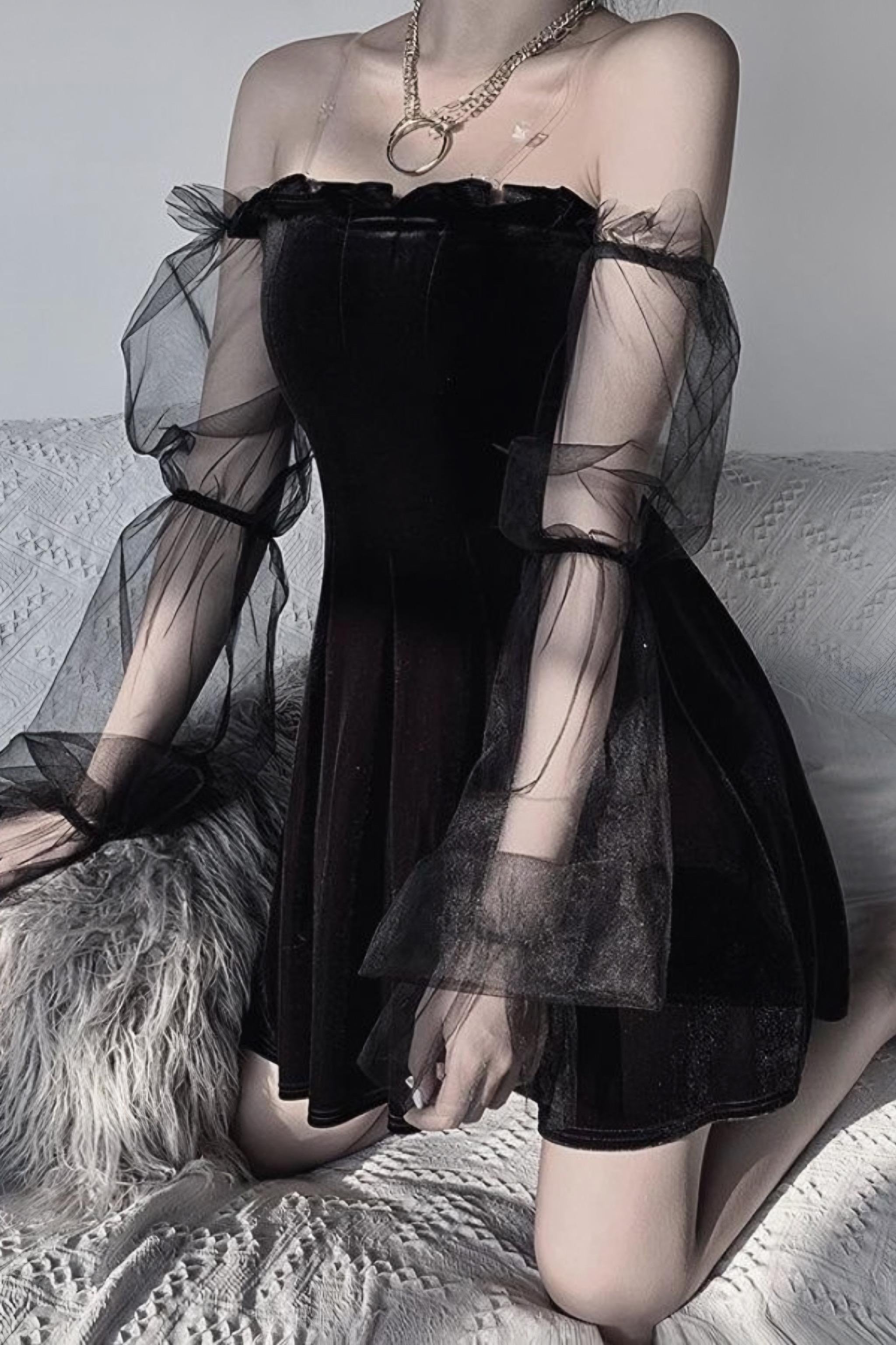 Tulle Sleeve Lace Detailed Dress