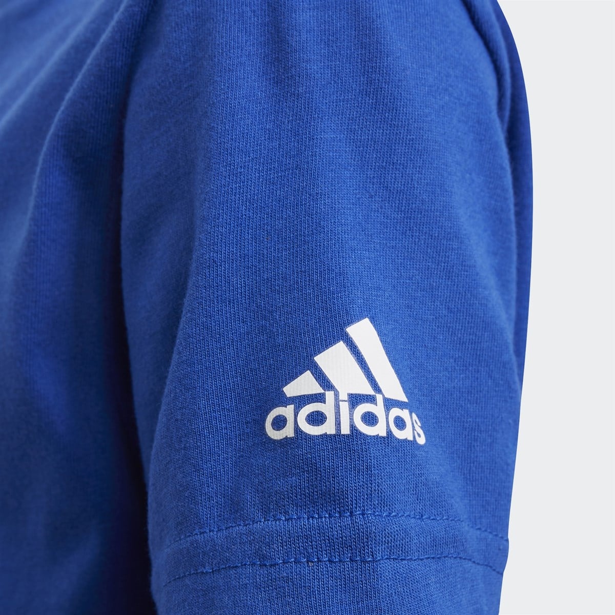 Adidas B Dsny T 2 Erkek Tişört