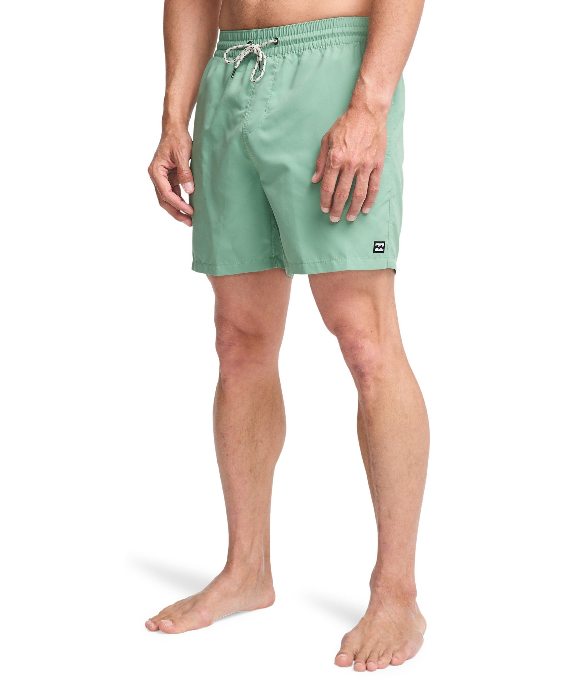 Billabong All Day Lb Erkek Şort EBYJV00134