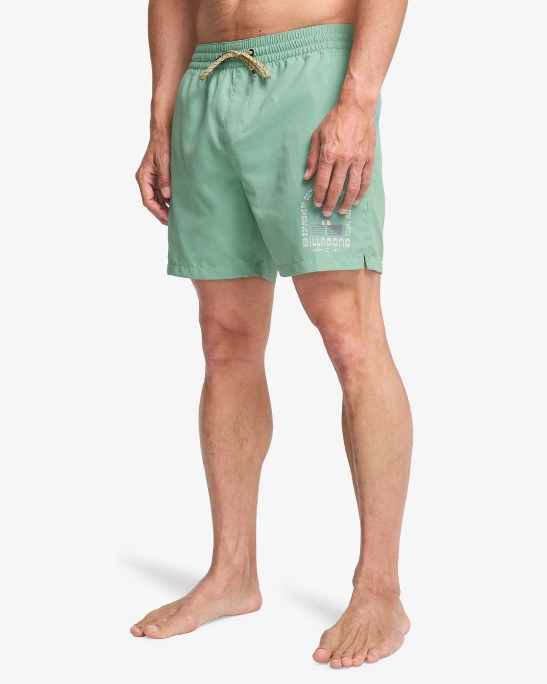 Billabong Foundation Lb Erkek Şort EBYJV00162
