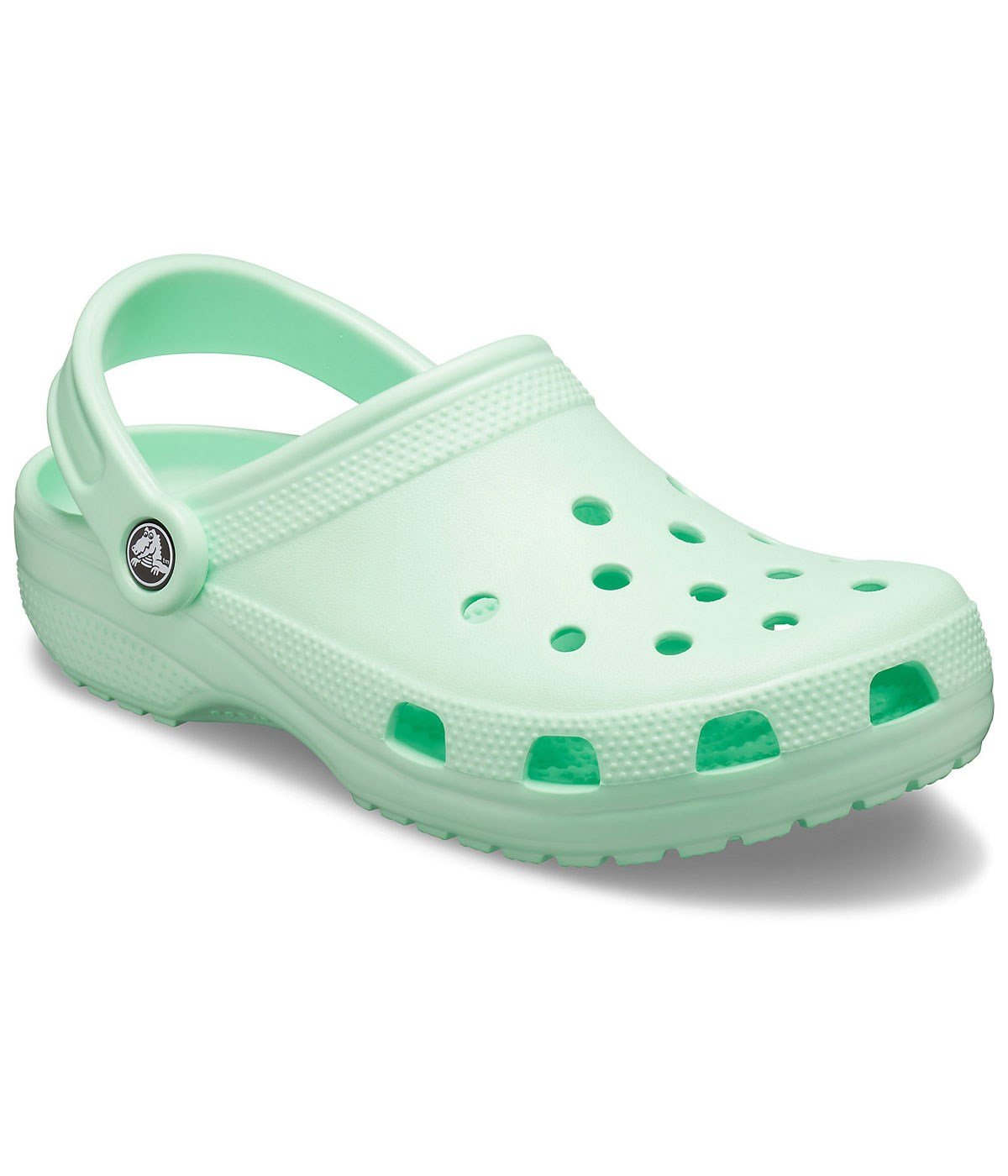 Crocs Classic Erkek Terlik