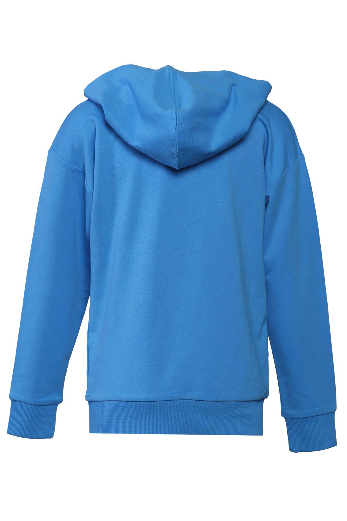 Hummel leıden Hoodıe Çocuk Sweat