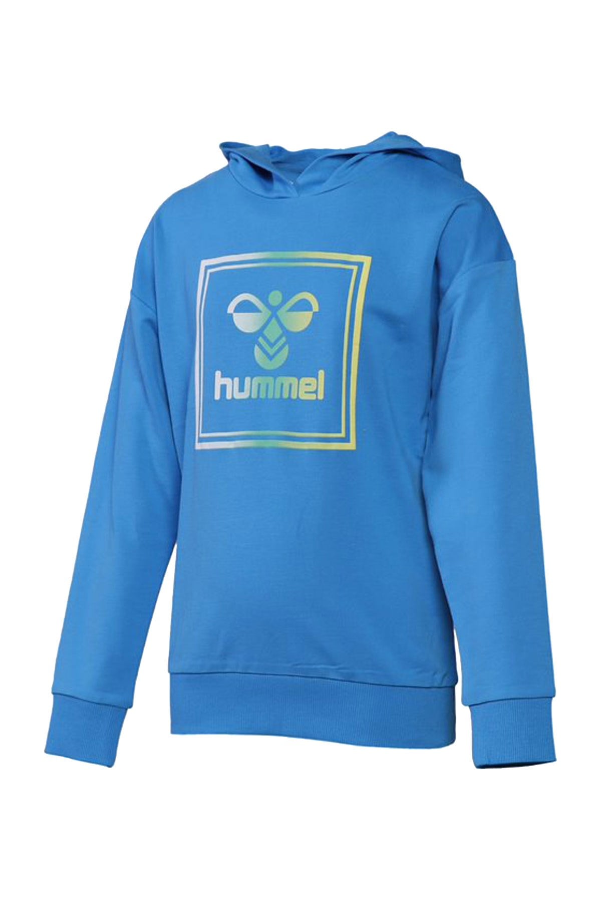 Hummel leıden Hoodıe Çocuk Sweat