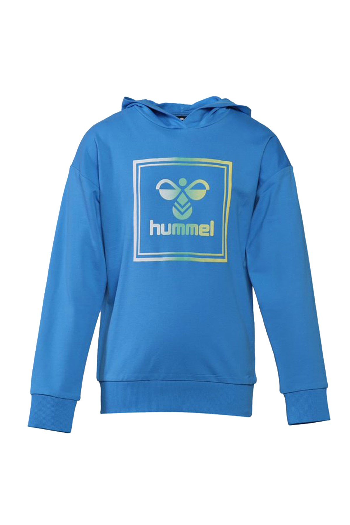 Hummel leıden Hoodıe Çocuk Sweat