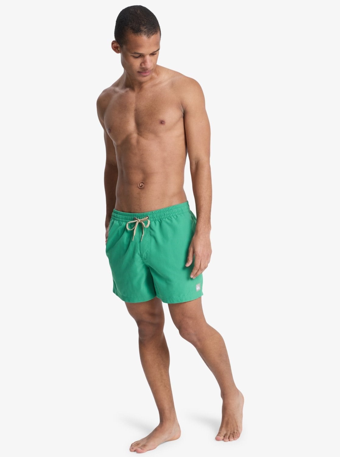 Quiksilver Everyday 15 Erkek Şort EQYJV04120
