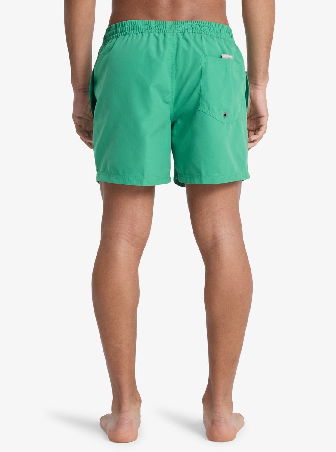 Quiksilver Everyday 15 Erkek Şort EQYJV04120