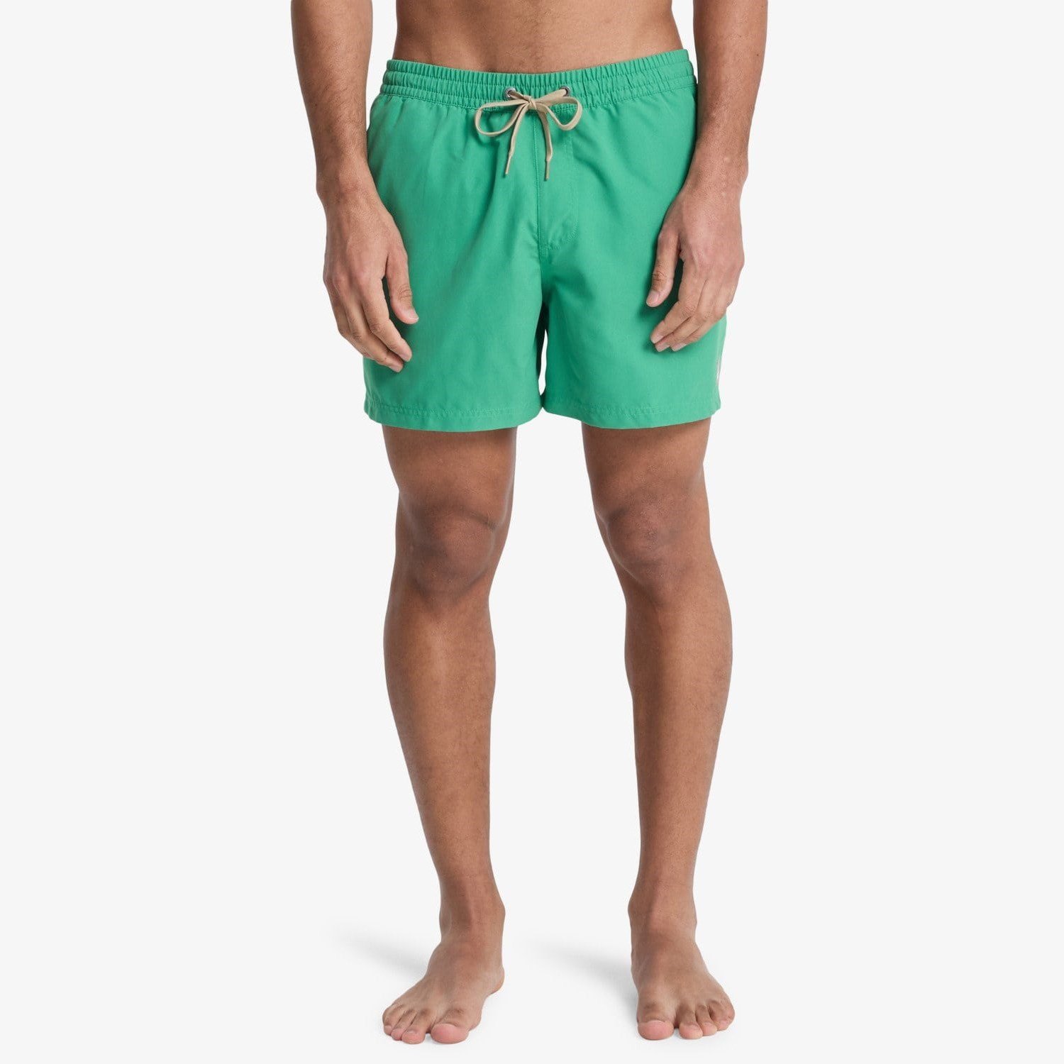 Quiksilver Everyday 15 Erkek Şort EQYJV04120