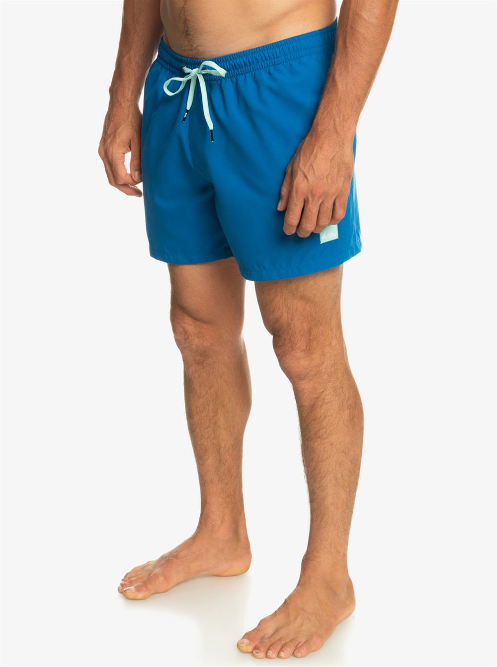 Quiksilver Everyday 15 M Jamv Erkek Şort