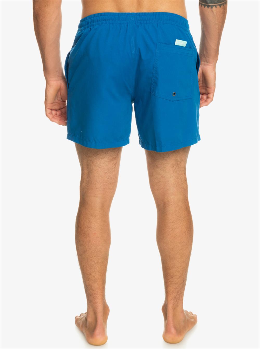 Quiksilver Everyday 15 M Jamv Erkek Şort