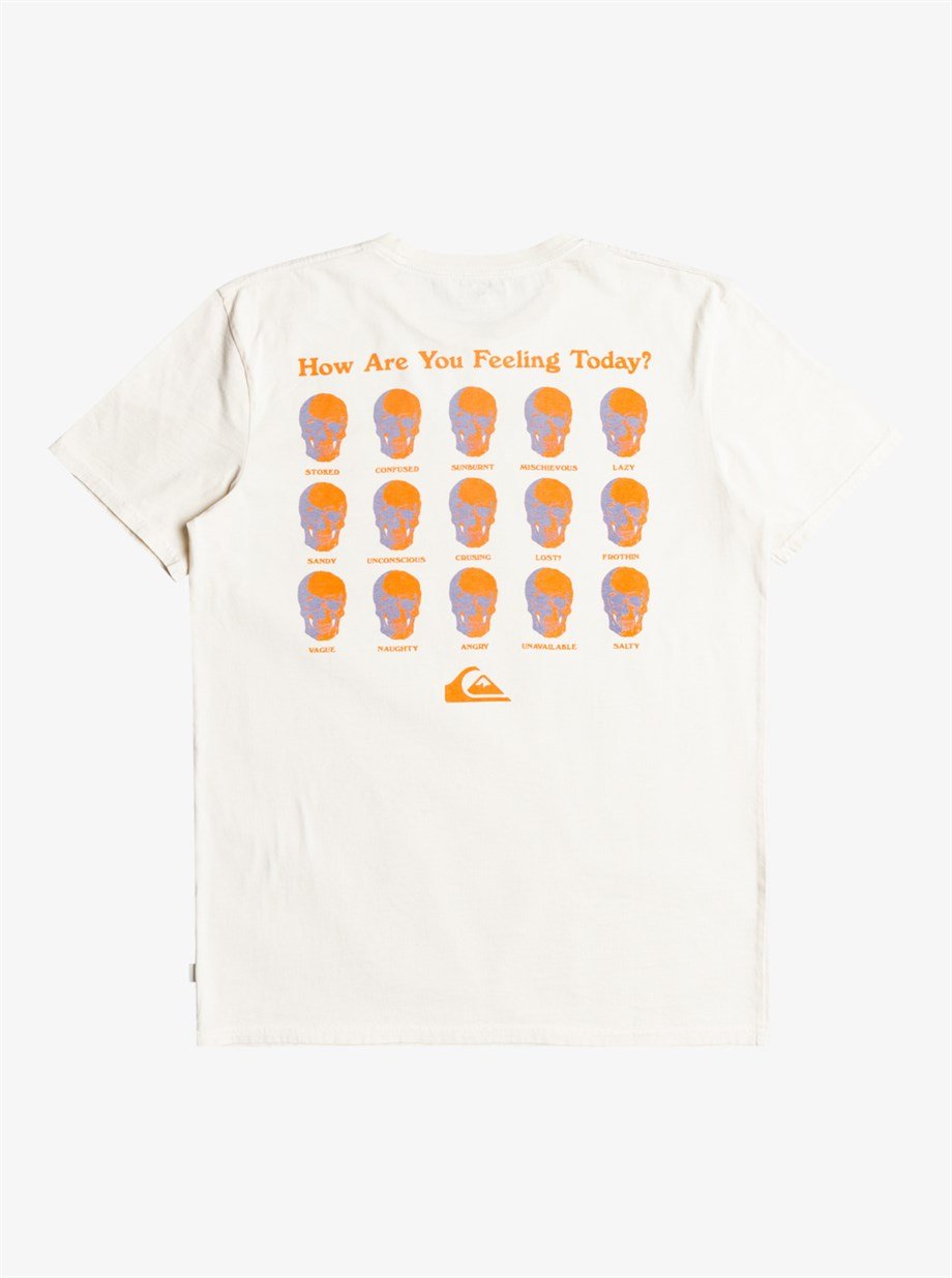 Quiksilver How Are You Feeling Ss Erkek Tişört