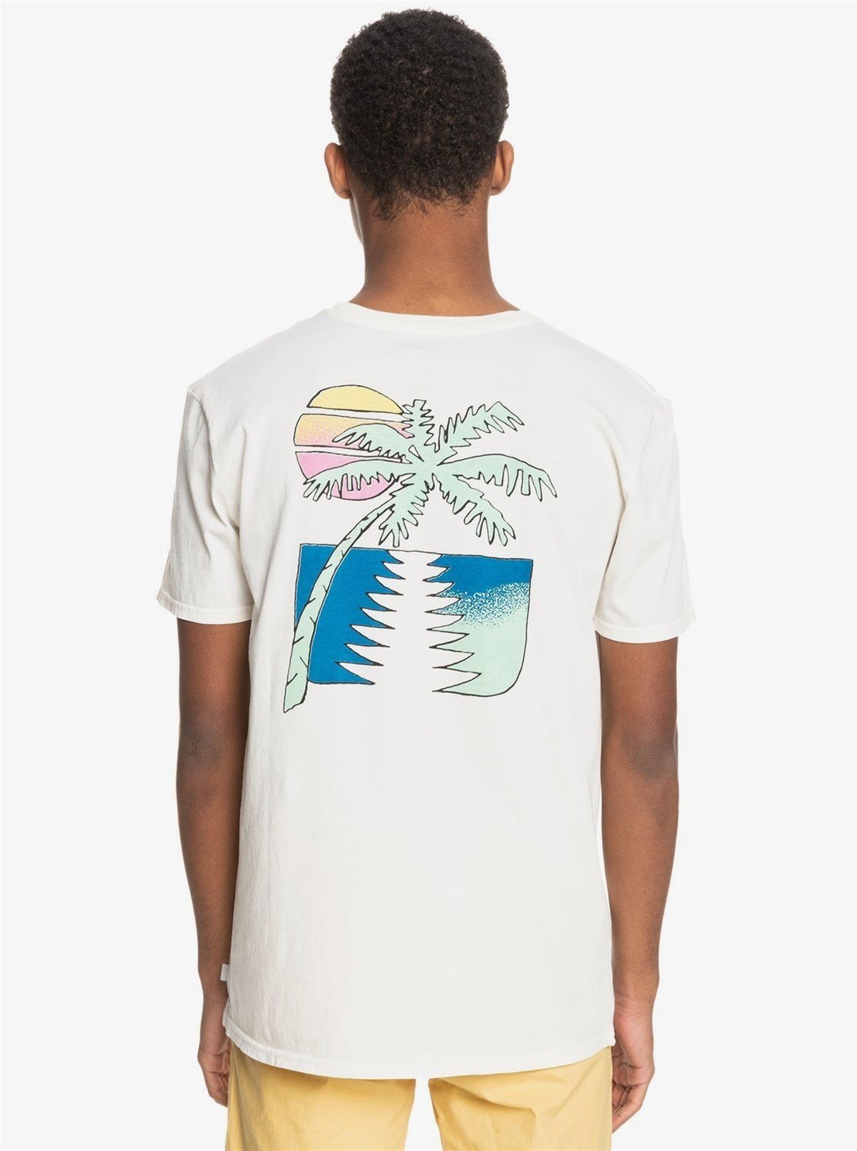Quiksilver Island Pulse Ss Erkek Tişört
