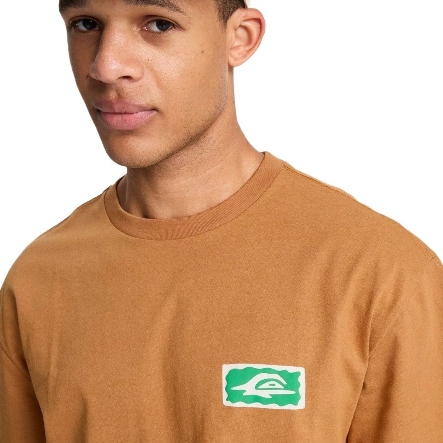 Quiksilver Serenity Splash Erkek Tişört EQYZT08300
