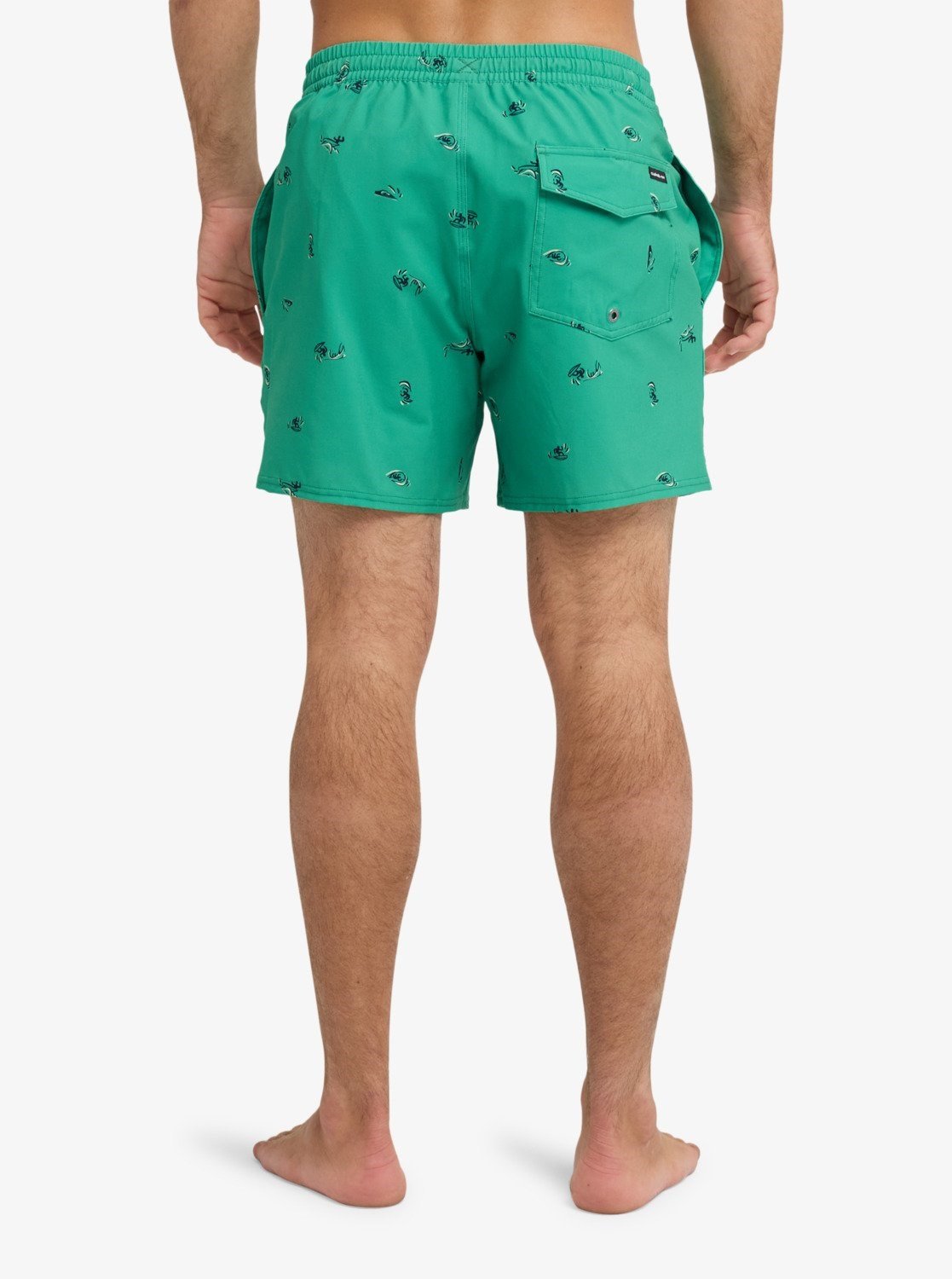 Quiksilver Stretch Printed Erkek Şort EQYJV04217