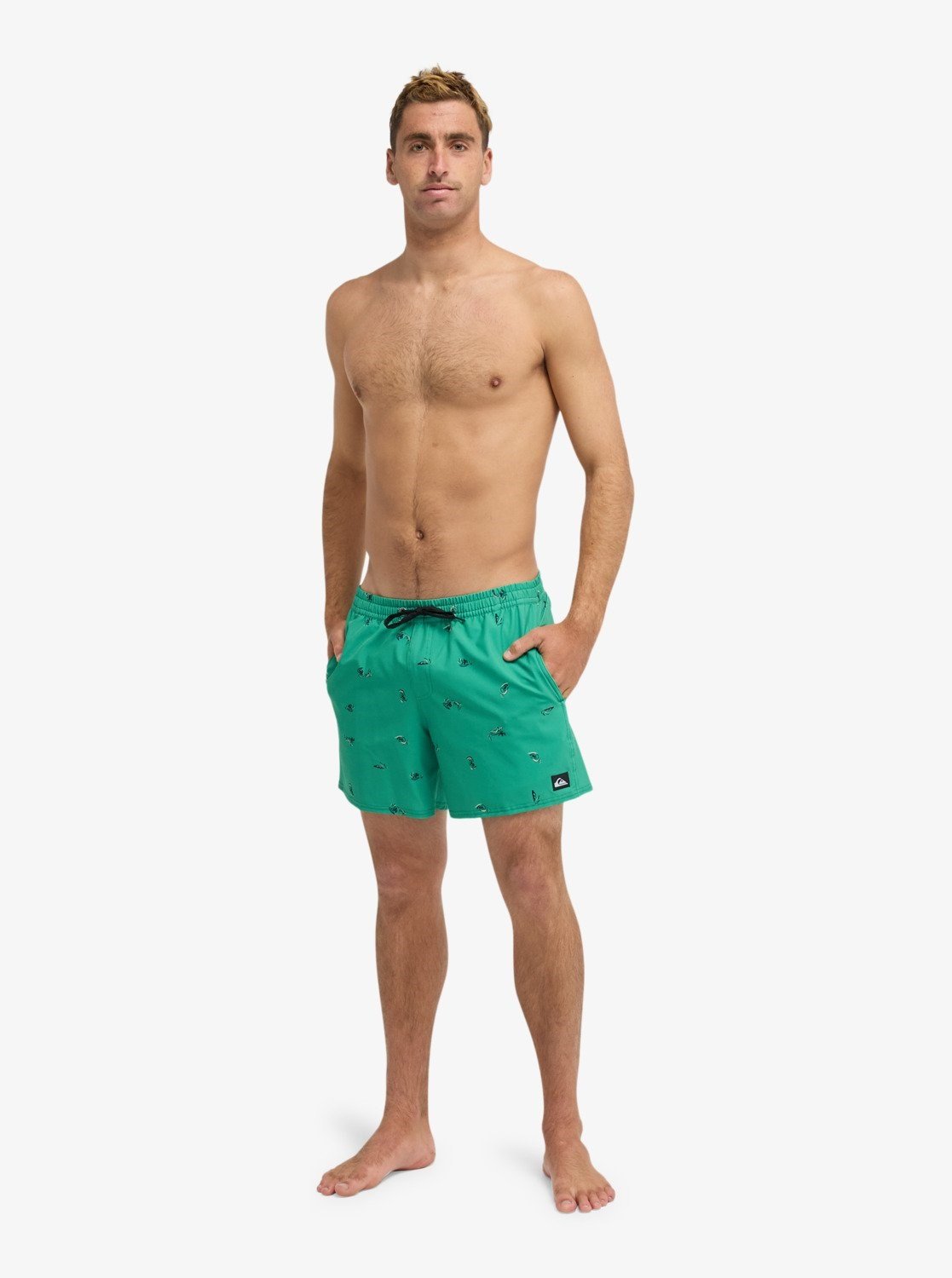 Quiksilver Stretch Printed Erkek Şort EQYJV04217
