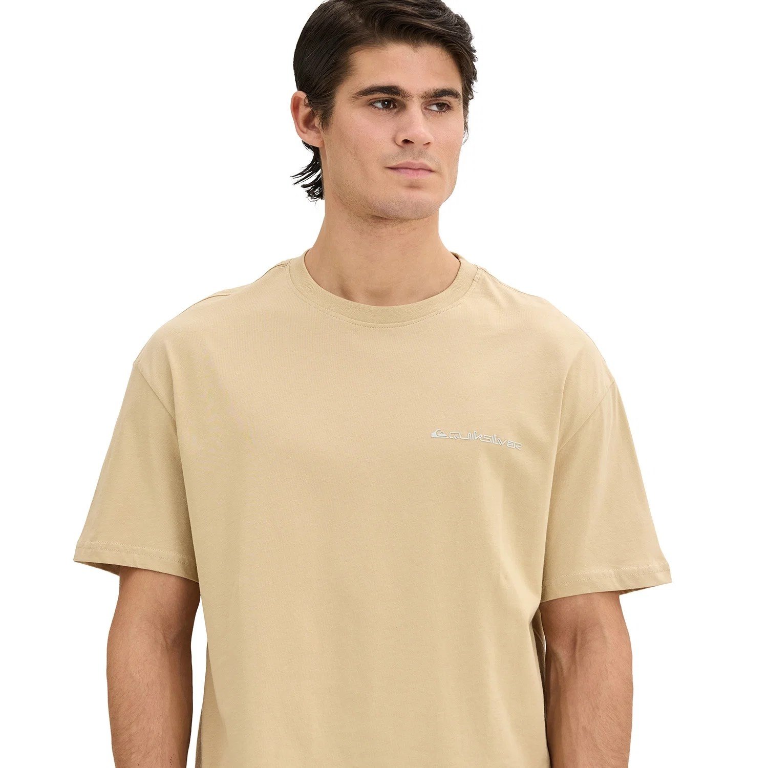 Quiksilver Touchdown Tee Erkek Tişört TRQMS26110