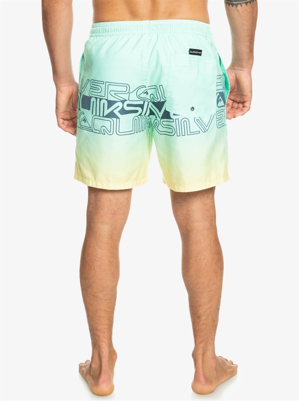 Quiksilver Wordblock 17 M Jamv Erkek Şort