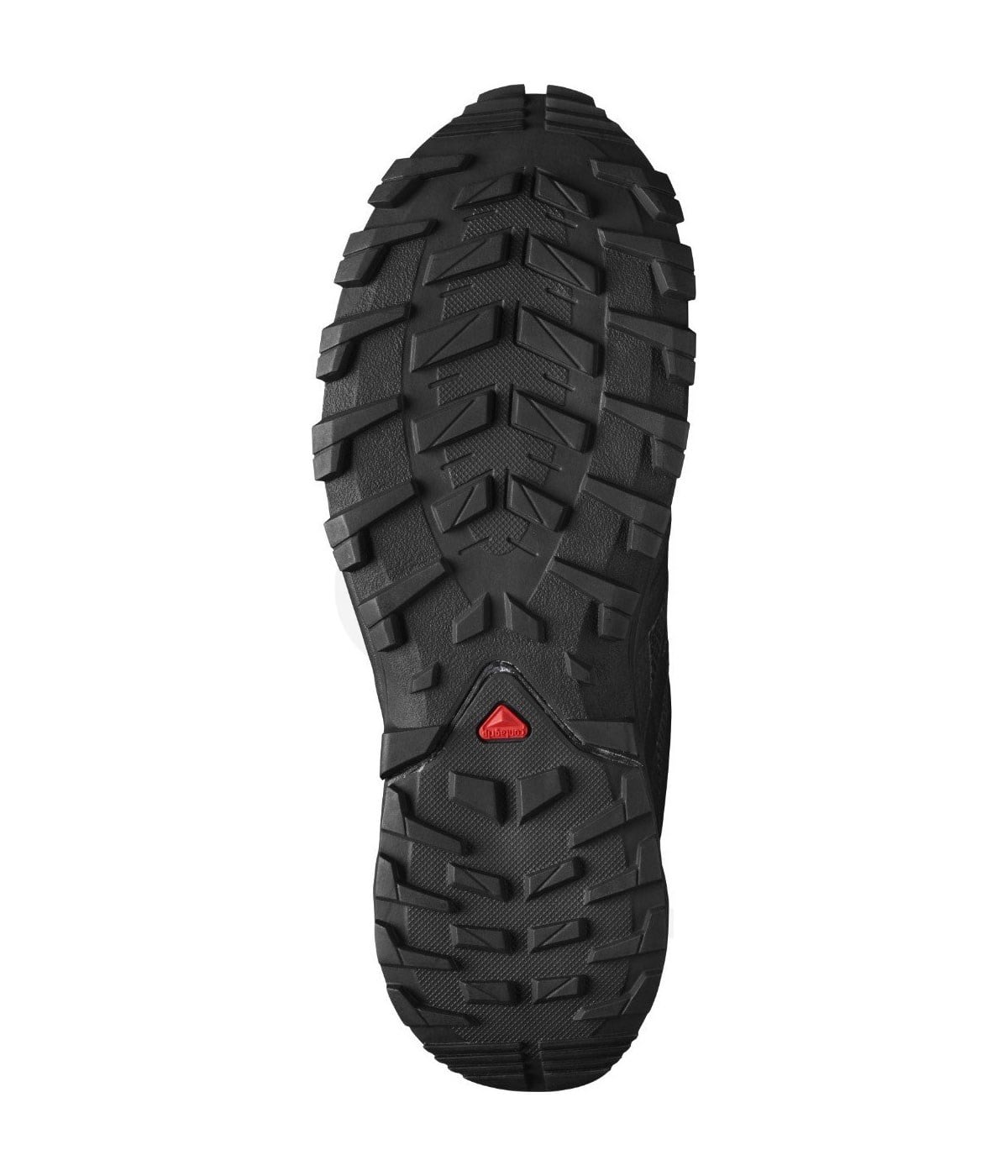 Salomon Xa Rogg Gtx W Kadın Bot