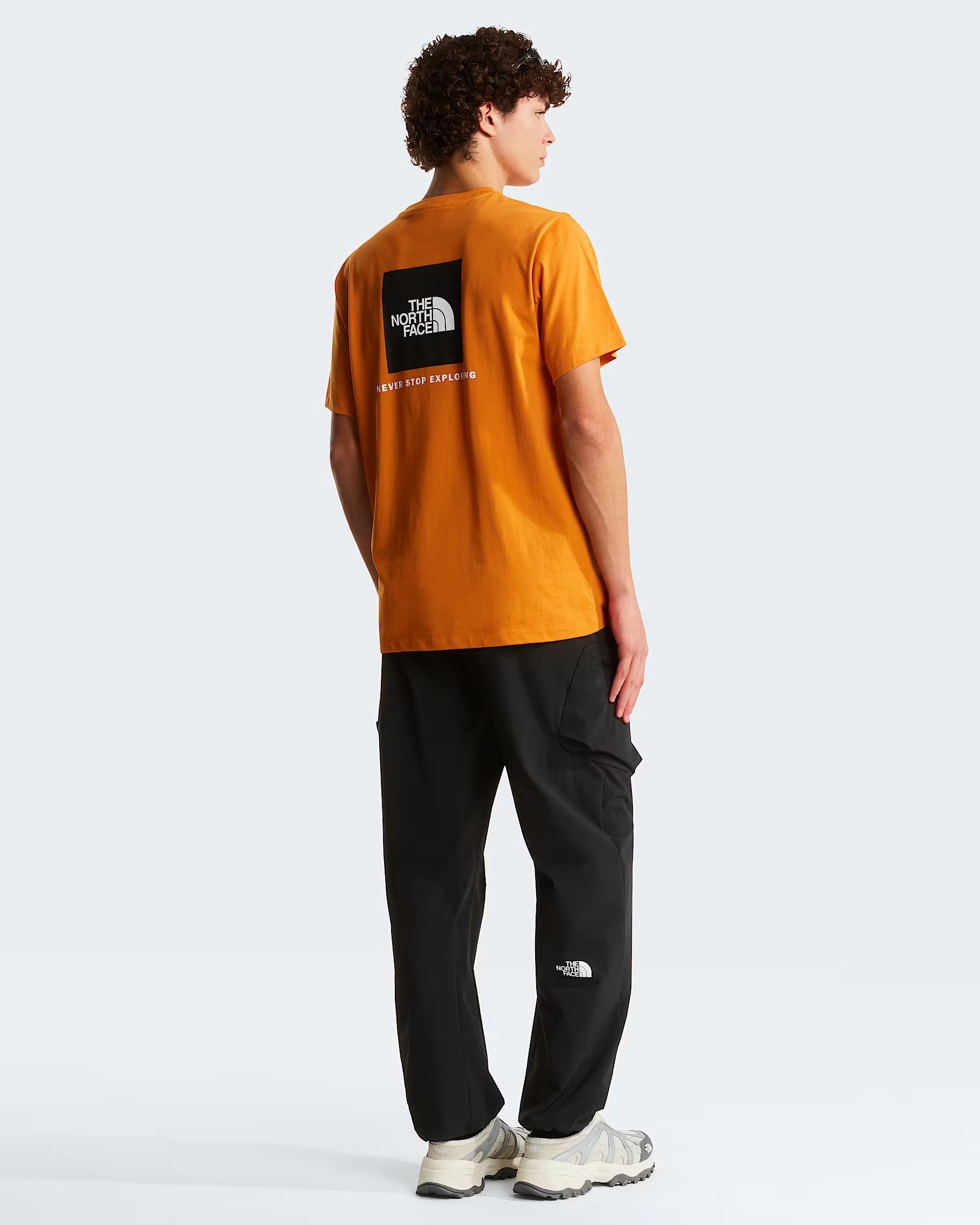 The North Face M Evolution Box Nse Regular Short Sleeve Erkek Tişört NF0A8B6KG5I1