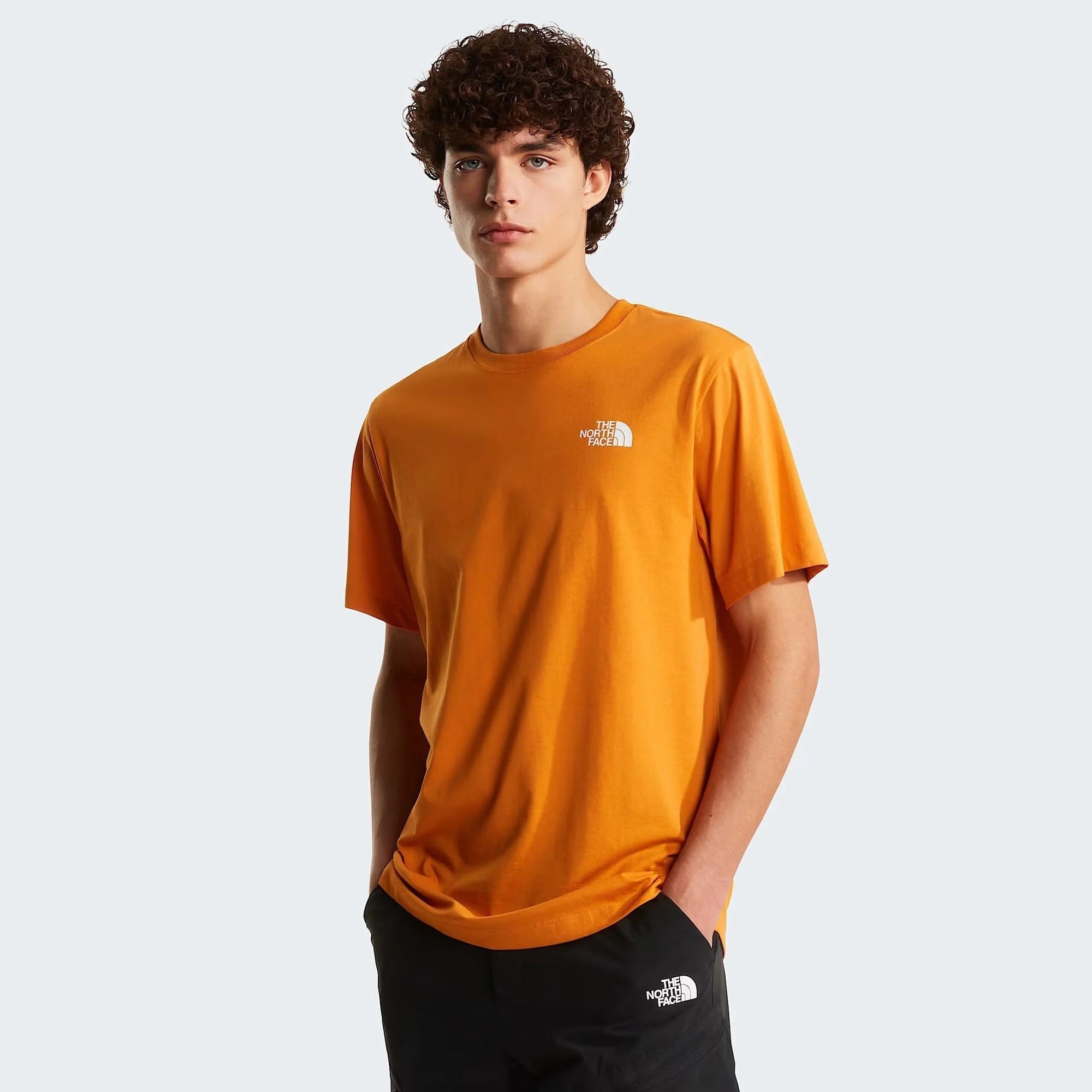 The North Face M Evolution Box Nse Regular Short Sleeve Erkek Tişört NF0A8B6KG5I1