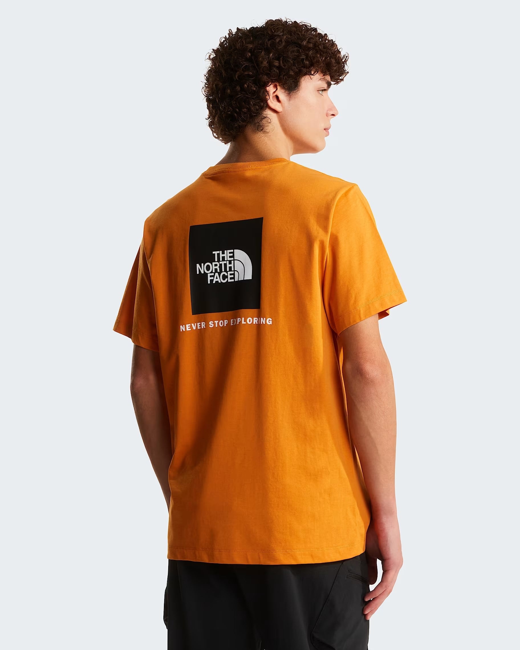 The North Face M Evolution Box Nse Regular Short Sleeve Erkek Tişört NF0A8B6KG5I1