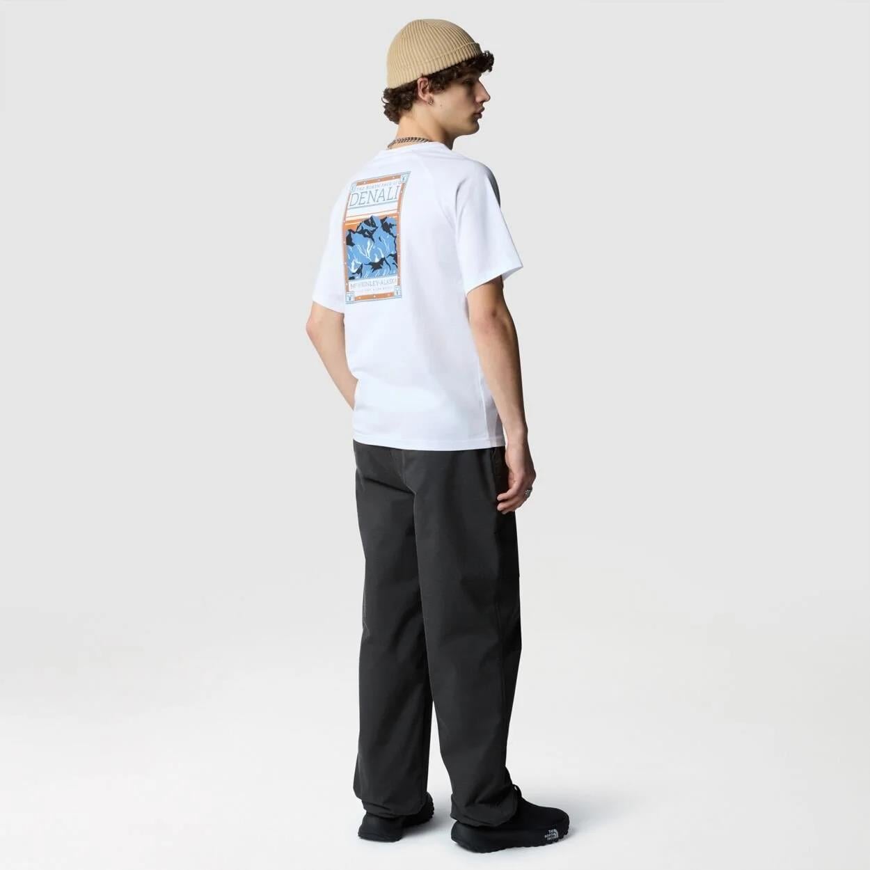 The North Face M S/S North Faces Tee Erkek Tişört NF0A87NUFN41