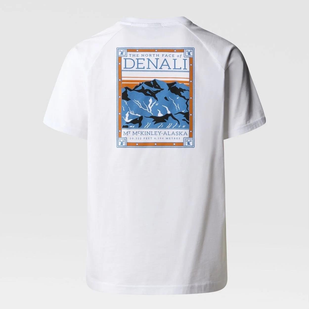 The North Face M S/S North Faces Tee Erkek Tişört NF0A87NUFN41