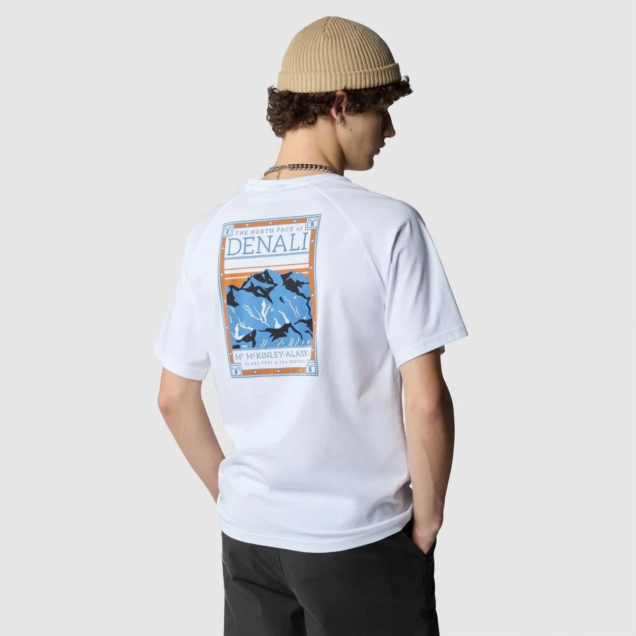 The North Face M S/S North Faces Tee Erkek Tişört NF0A87NUFN41